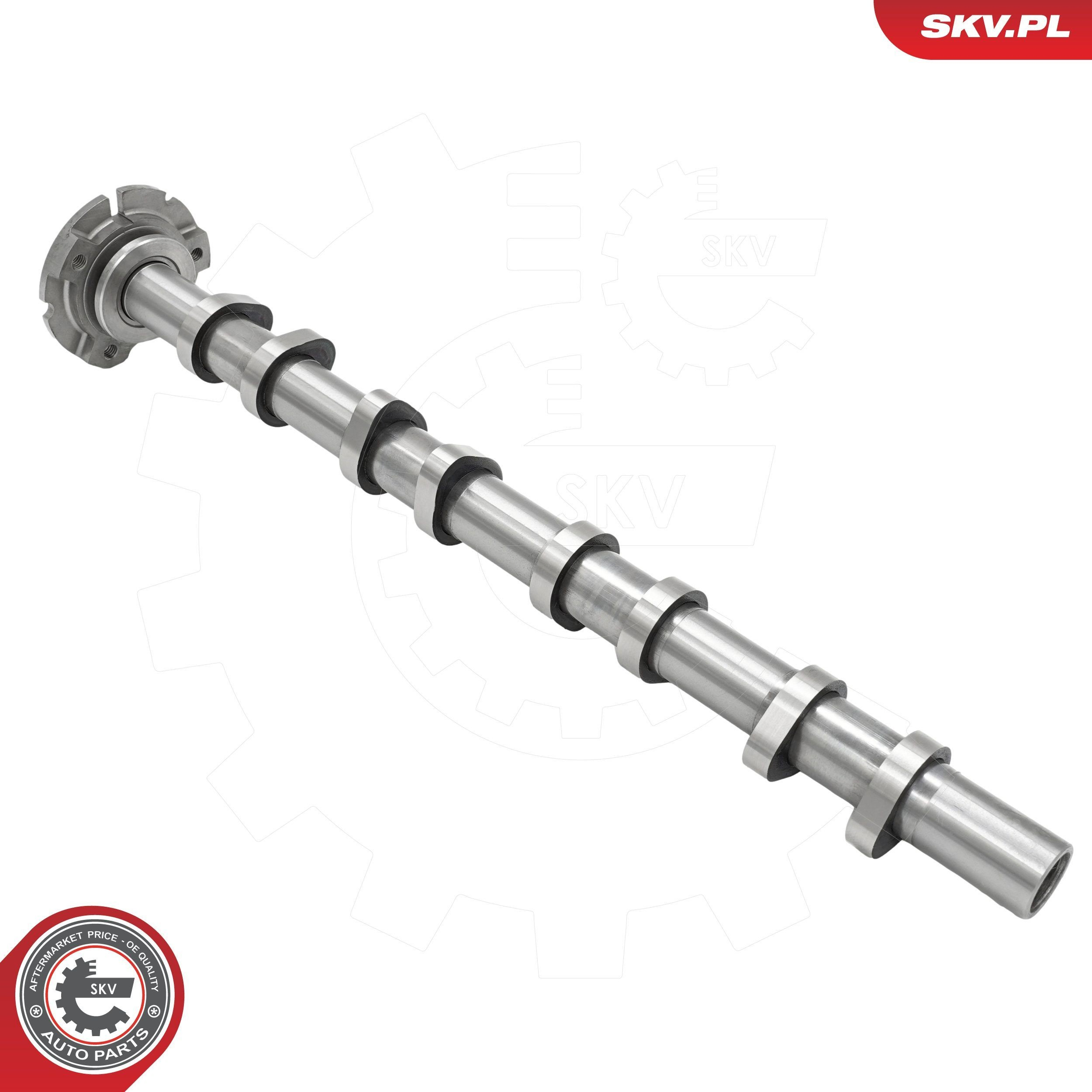 Comprar Árboles de levas Ford Transit V V184/5